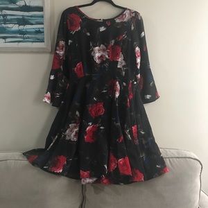 Anthropologie Fit and Flare Dress